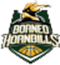 Bumi Borneo